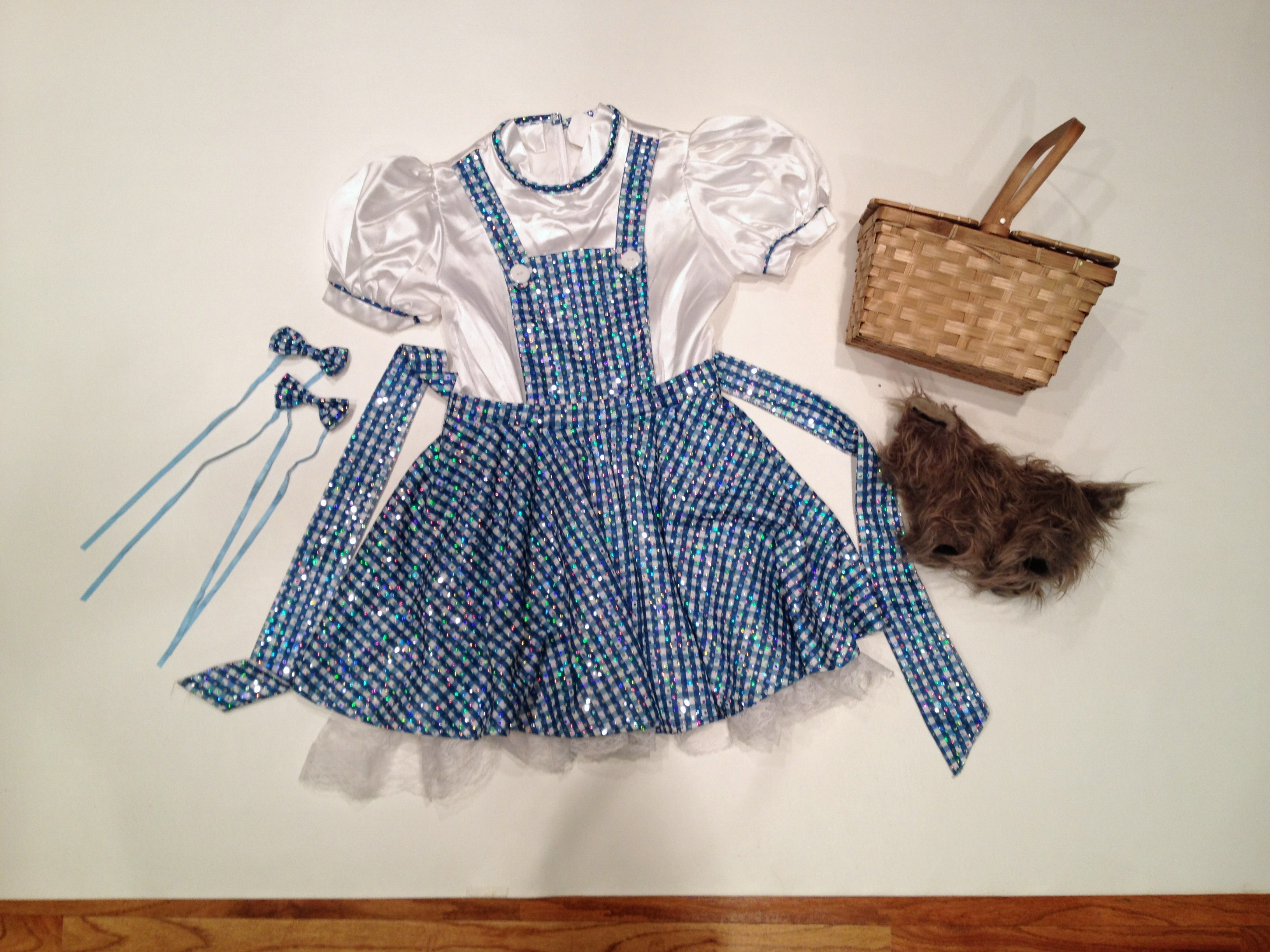 Wizard of Oz DOROTHY Halloween Costume MEDIUM w/ Toto & Basket LICENSED ...